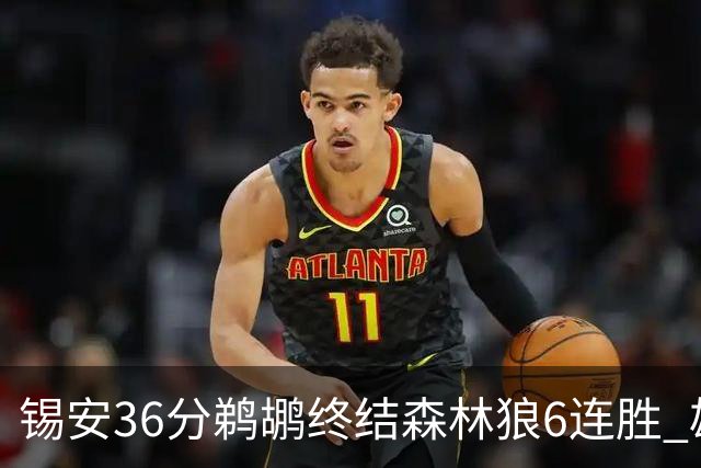 锡安36分鹈鹕终结森林狼6连胜 雄鹿险胜公牛